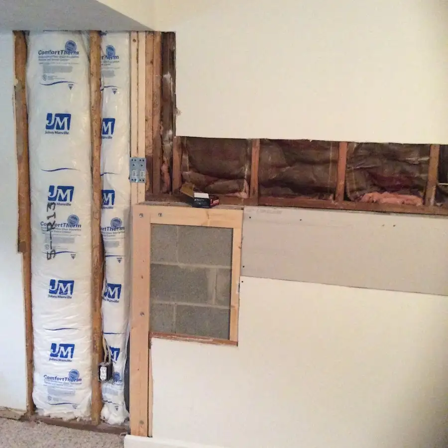 Wall insulation replacement during Basement Flood Cleanup in Dunn